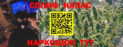 каннабис Дубна