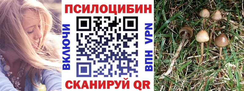 Псилоцибиновые грибы GOLDEN TEACHER  Киров 