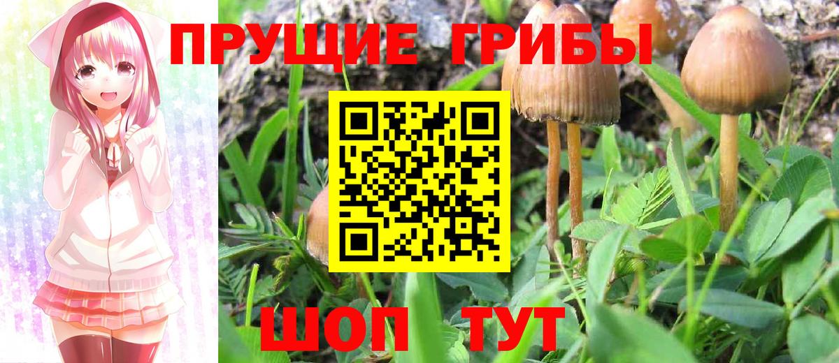 купить   Псилоцибиновые грибы Psilocybe  Галлюциногенные грибы мухоморы  Вход с VPN  Киров 