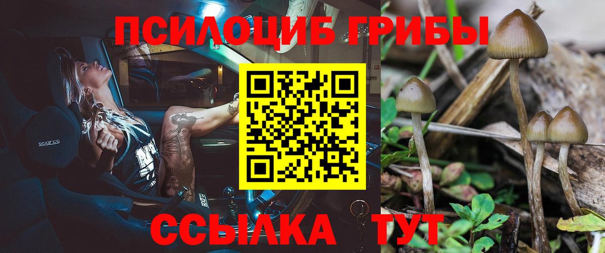 Псилоцибиновые грибы прущие грибы Киров